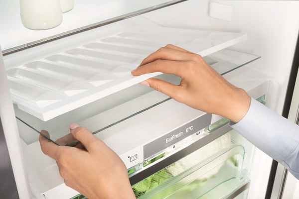 Ручная система размораживания холодильника что это